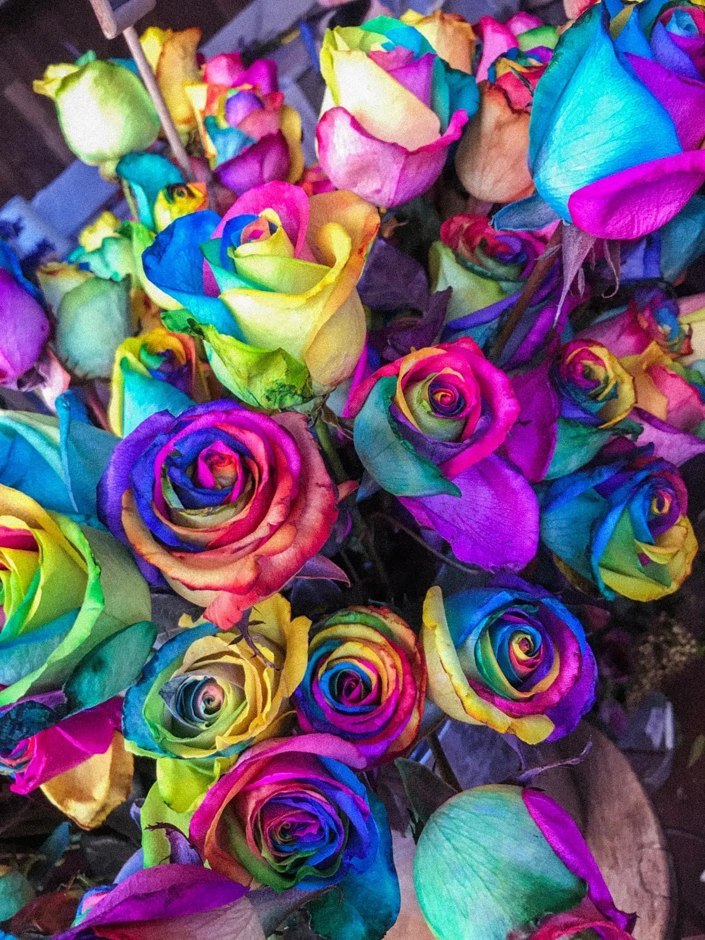 Rainbow Celebration